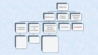 ORGANIGRAMA DE LAS ESTwmv [upl. by Ranchod]