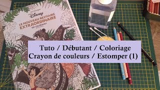 Tuto Débutant Coloriage [upl. by Hatnamas]