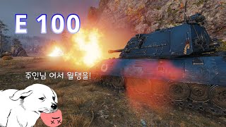 월탱 근본 트리 E 100 [upl. by Dicky]