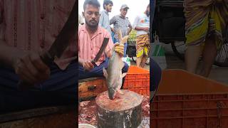 Amazing Great Delicious Pangas Fish Cutting Techniques  Fish Cutting Skills [upl. by Jago]