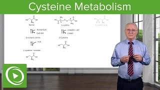 Cysteine Metabolism – Amino Acid Metabolism  Lecturio [upl. by Lamej994]