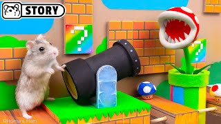 🍄 Hamster Escapes the Super Mario Maze 20 🍄 Homura Ham [upl. by Anavi]