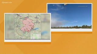 Wildfires in Arizona Update for June 10 [upl. by Leno997]