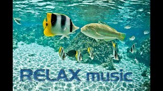 Sleep Meditation Music Snoezelen Musik Einschlafmusik [upl. by Imoyaba322]