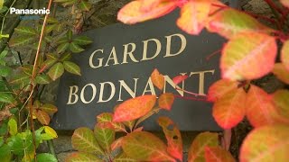 GOING OFFGRID WITH PANASONIC AT BODNANT GARDEN [upl. by Sainana]