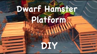 DIY Dwarf Hamster Platform [upl. by Cari]