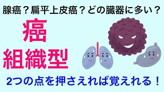 【５分で解説、３分で国試解説】癌の組織型 [upl. by Nicko]