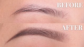 EYEBROW TUTORIAL beginner friendly  Anastasia Beverly Hills Powder  Brow Wiz [upl. by Enel360]