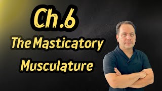 Ch6 The Masticatory MusculatureFunctional Occlusion From TMJ to Smile Design [upl. by Stutman]