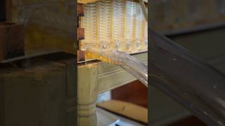 Finally harvesting honey from the Flow Hive Pt3 beekeeping bees flowhive honey honeyharvest [upl. by Yehs]