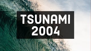 Tsunami 2004 Caught On Camera  Original Footage HD [upl. by Sheets]