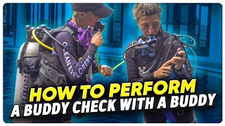 Scuba Diving How to Perform a Buddy Check with a Buddy  PADI Scuba Skills [upl. by Acirre]