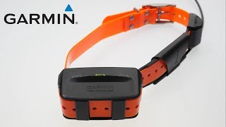 Support Troubleshooting GPS Reception Issues on a Dog Collar [upl. by Eiramyllek]