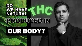 Do we actually have Natural THC produced in our body Anandamide  THC  Cannabis Decarboxylation [upl. by Holleran]