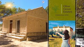 Olive Grove Estates  Spanish Off Grid Dream  Almansa [upl. by Leanatan]