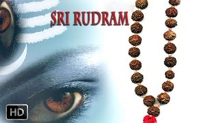 Sri Rudram  Powerful Vedic Hymn About Lord Shiva  Pudukottai Mahalinga Sastri [upl. by Nahtanod]