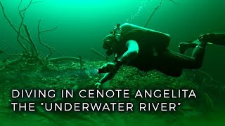 Diving in the Worlds Only quotUnderwater Riverquot Cenote Angelita in Tulum Mexico [upl. by Reinar]