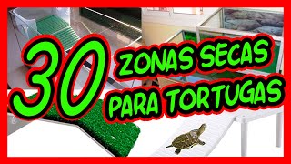 ZONAS SECAS PARA TORTUGAS CASERAS DE SUSCRIPTORES 🐢│❤️️ [upl. by Benedicta]