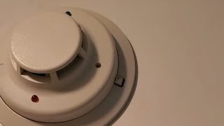 Testing a System Sensor I 3 smoke detector with a candle [upl. by Maghutte]