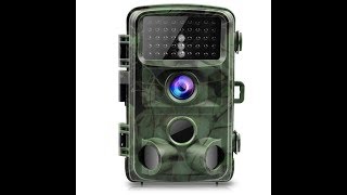 Toguard H45 Trail Camera14MP 1080P [upl. by Rimisac]