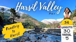 Harsil Valley  Spring Colors  How to reach  Uttarakhand  Part 1 [upl. by Sillaw]