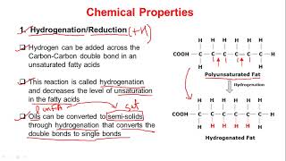 Properties of Fatty Acids  Physical and Chemical Properties [upl. by Larual34]