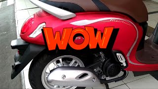 HONDA SCOOPY STYLISH MATTE RED 2022 [upl. by Noitsirhc772]