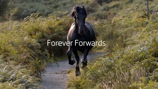 Lloyds Bank  Forever Forwards  Behind the Scenes [upl. by Bigg]