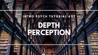 Depth Perception Intro Psych Tutorial 57 [upl. by Anerev]