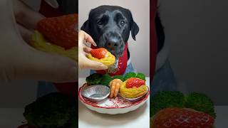 My dog enjoys the meal youtubeshorts shortvideo [upl. by Tessa]