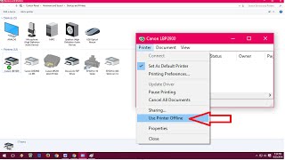 How to Fix Printer Offline Issues In Windows PC Windows 1110817 [upl. by Lanford]