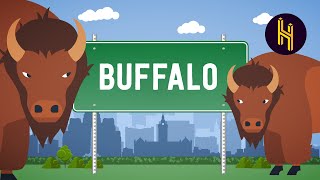 Buffalo buffalo Buffalo buffalo buffalo buffalo Buffalo buffalo [upl. by Jordon]