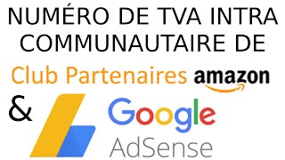 Numéro de TVA intracommunautaire de Google Adsense et Amazon Partenaire [upl. by Nannaihr]