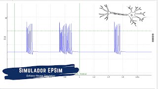 Simulador EPSim y Mecanismo de acción de fármacos antiepilépticos 14 [upl. by Ellahcim516]