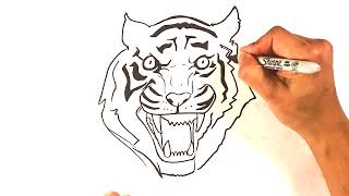 How to Draw a Tiger Easy Step by Step [upl. by Frieder40]