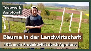 Agroforstwirtschaft  Bäume zurück in die Landwirtschaft  Triebwerk Agroforst  2023 [upl. by Slerahc]