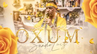 Ponto de Oxum  DIVINA OXUM  Sandro Luiz Umbanda [upl. by Tewell929]