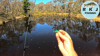 Redfin Fishing In A Small Dam [upl. by Omocaig]