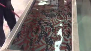 Hydro graphics dipping [upl. by Jaffe530]