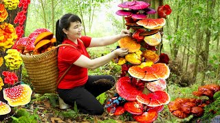 How to harvest Wood ear fungus goes to the market sell  Harvesting and Cooking Tieu Vy Daily Life [upl. by Adal983]