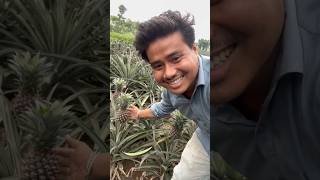 Anaras Ki Khet Ko Deakh Liya 🙄😂😁 funny viral shorts [upl. by Althee]