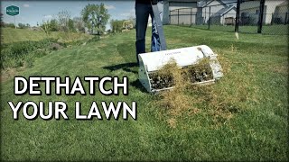 How To DETHATCH And FIX Your LAWN [upl. by Rahel]