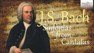 JS Bach Sinfonias from Cantatas [upl. by Leterg]