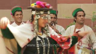 Himachali folks perform Nati dance at National Art Gallery in New Delhi [upl. by Fayre]