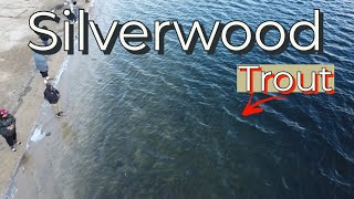 Silverwood Lake Trout Fishing 2022 [upl. by Odnalra797]