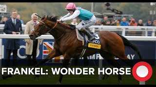 Frankel Wonder Horse [upl. by Volding990]