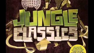 Jungle Classics  Original Nuttah [upl. by Torrance476]