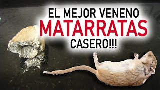 TRAMPA PARA RATAS Y RATONES  El Mejor Matarratas casero FUNCIONA [upl. by Boorman]