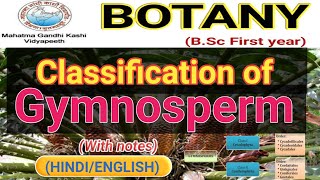 Classification of Gymnosperms [upl. by Anyar571]