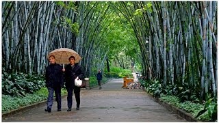 Walking in Guangzhou  China [upl. by Anaejer88]